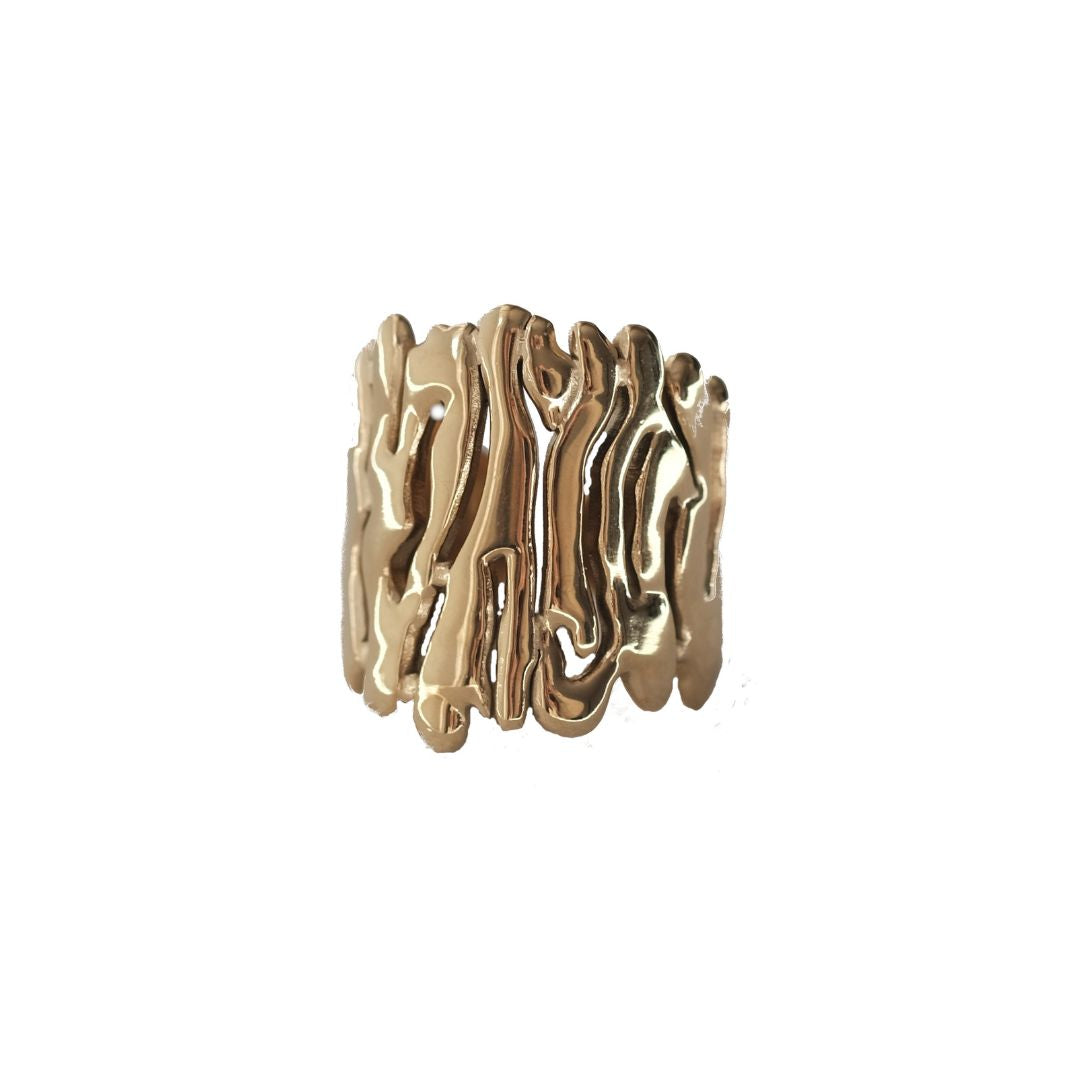 ANILLO BRANCH DO